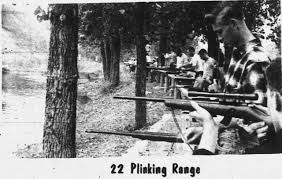 Image result for Clyde Valley Pistol Club