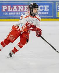 Image result for Solihull Recreational Ice Dancing Club