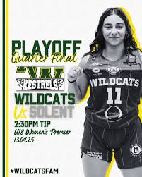 Image result for Nottingham Wildcats