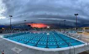 Image result for Elmbridge Phoenix Swimming Club