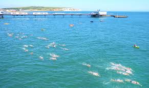 Image result for Isle Of Wight Swim Team