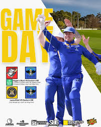 Image result for Park Hill Cricket Club