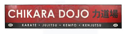 Image result for Chikara Dojo Of Kyokushin Karate