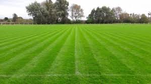 Image result for Elm Grove Football Club