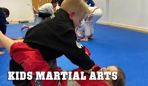 Image result for Didcot Judo and Karate Club