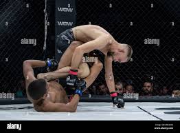 Image result for Guerrero Martial Arts