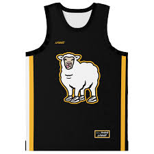 Image result for Teamsheep