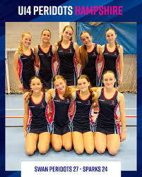 Image result for Swan Centre Netball Club