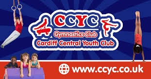 Image result for Cardiff Olympic Gymnastics Club