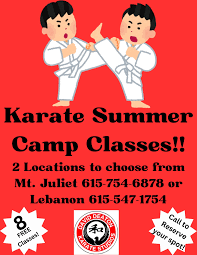 Image result for Hetton and Murton Karate Academy