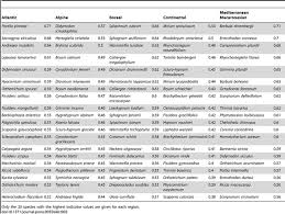 Attēlu rezultāti vaicājumam “Pogonatum dentatum macro”