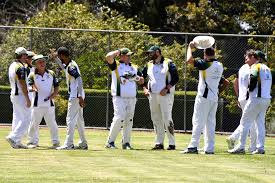 Image result for Welby Cricket Club