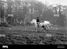 Image result for Bookham Riding School