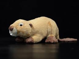 Image result for Castor fiber