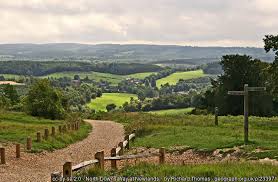 Image result for Guildford Orienteers