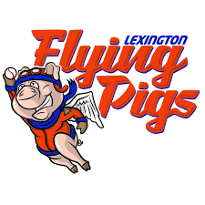 Image result for flying pigs