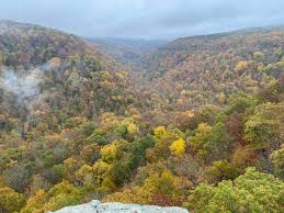 Image result for $$fall_akte__ort$$