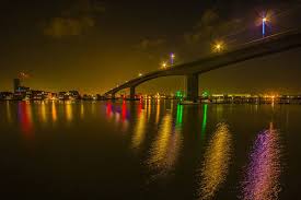 Image result for Southampton Stags