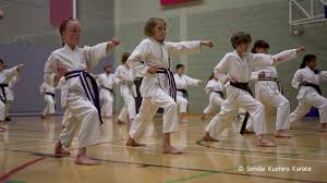 Image result for Sendai Kushiro Karate