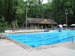 Image result for Downham & District Swimming Club