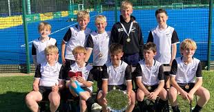 Image result for Harleston Magpies Hockey Club