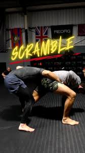 Image result for Red Rose Ju Jitsu Club