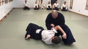 Image result for Aikido - Takama Hara Aikido Dojo