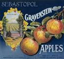Sebastopol Gravenstein Apple: Sonoma's Terroir Enhances a Fruit's ...