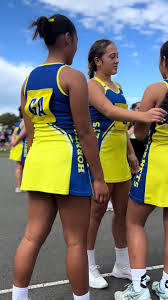 Image result for Chester Netball Club