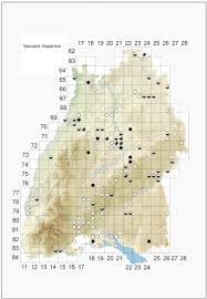 Attēlu rezultāti vaicājumam “Riccia canaliculata”