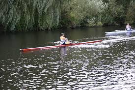 Image result for Derwent Rowing Club