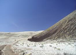 Attēlu rezultāti vaicājumam “Craterium sp.”