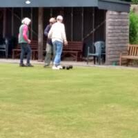 Image result for Chester Road Bowling Club
