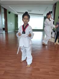 Image result for South Bank Taekwondo