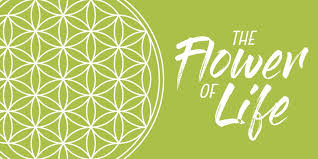 Image result for life flower