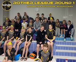 Image result for Basingstoke Sc