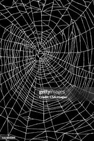 Image result for web patterns