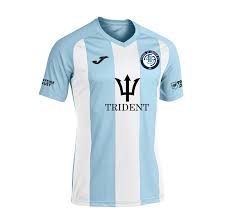 Image result for Thorpe Green Fc