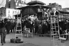 Image result for edouard boubat