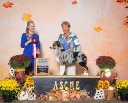 Image result for Halifax Asc