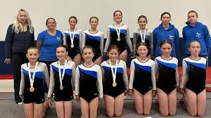 Image result for South Western Gymnastics Club