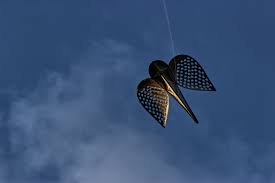 Image result for Brighton Kite Fliers