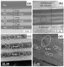 Attēlu rezultāti vaicājumam “Licea minima”