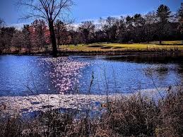 Image result for Rushmere Golf Club