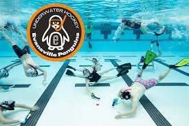 Image result for York Octopush Club
