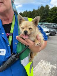 Image result for Skelmersdale Rambling Club