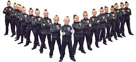 Image result for Elements Acro