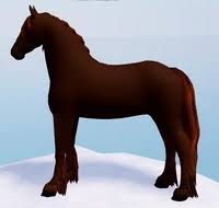Image result for chestnut friesian