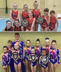 Image result for Horsham Gymnastics Club