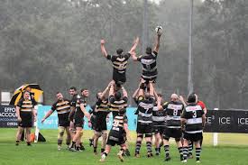 Image result for York Rugby Union Football Club